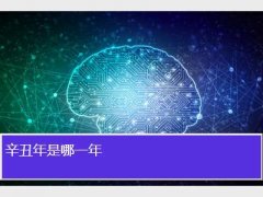 辛丑年