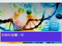 辛卯年是哪一年