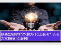 Ǭ격ݻӦﳤë
