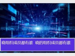 晓组织成员