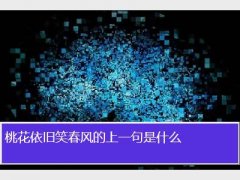һЦһʲô