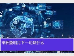 举杯邀明月下一句