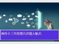 ʮһ鹫