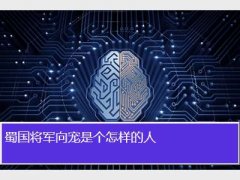向宠