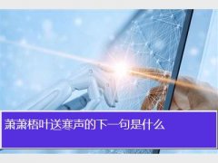 萧萧梧叶送寒声
