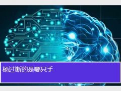 ϵֻ