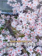 400źֲѧ漣Ļ̬ʾ